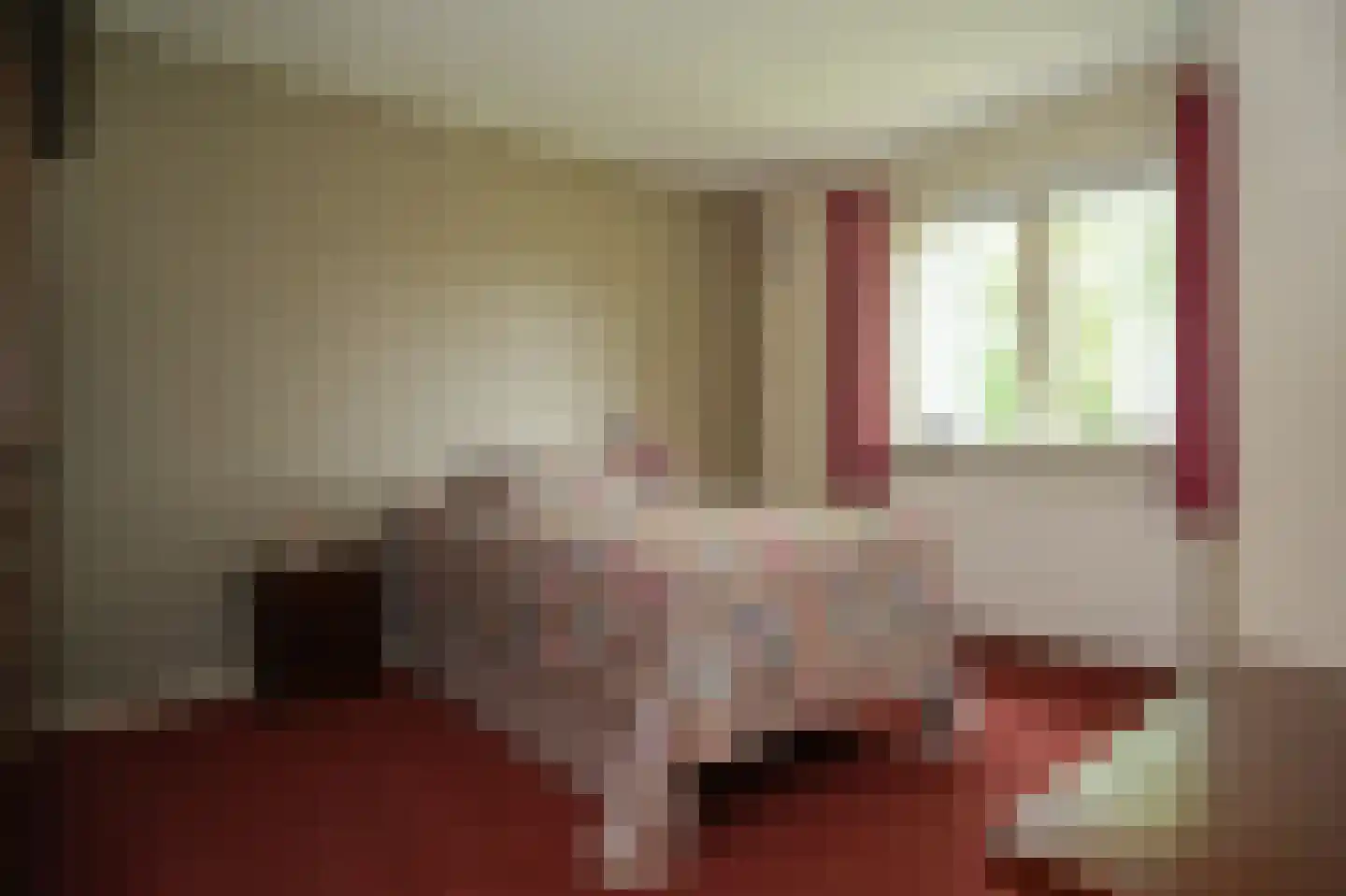 Molenweg 29 Horssen thumbnail 19