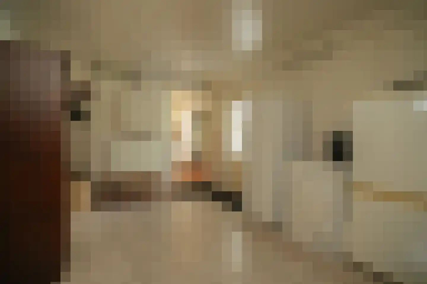 Molenweg 29 Horssen thumbnail 25