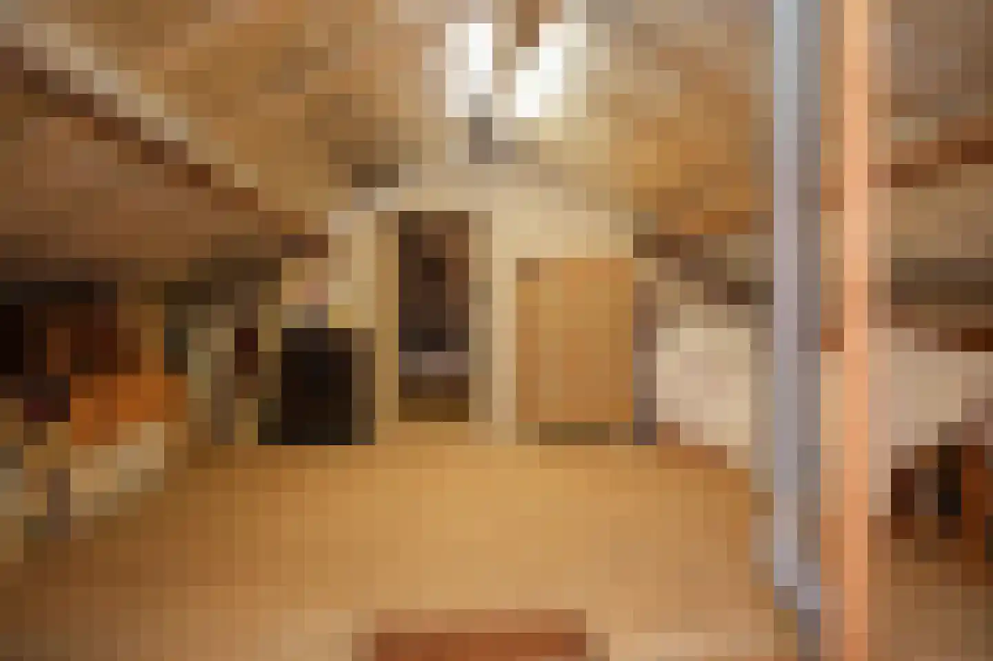 Molenweg 29 Horssen thumbnail 30
