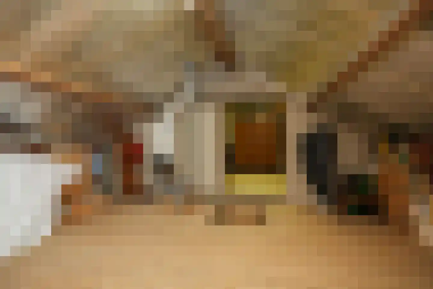 Molenweg 29 Horssen thumbnail 31