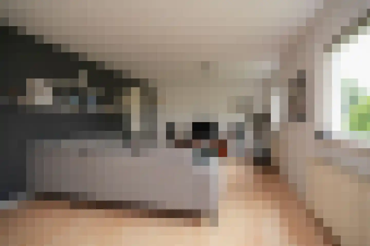 Molenweg 29 Horssen thumbnail 33