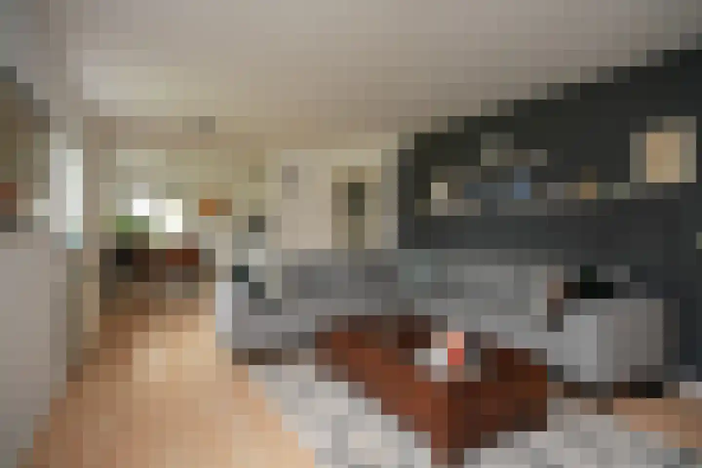 Molenweg 29 Horssen thumbnail 34