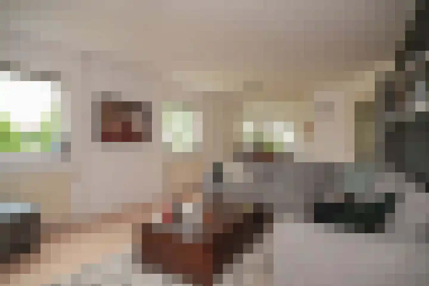 Molenweg 29 Horssen thumbnail 36