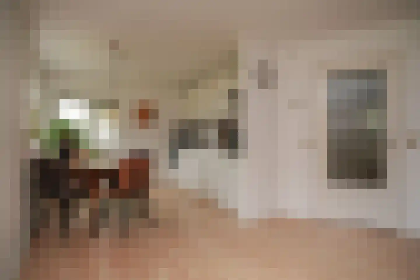 Molenweg 29 Horssen thumbnail 37