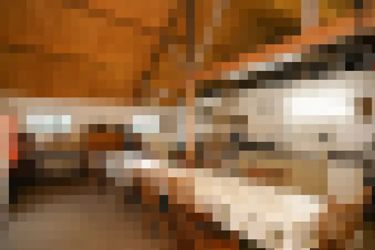 Molenweg 29 Horssen thumbnail 43