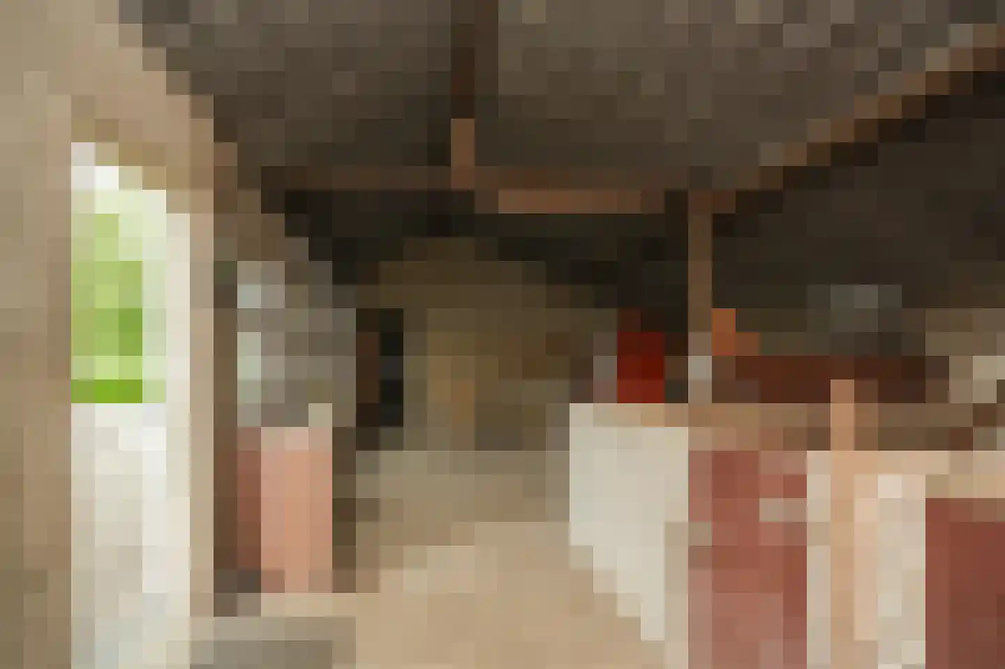 Molenweg 29 Horssen thumbnail 46
