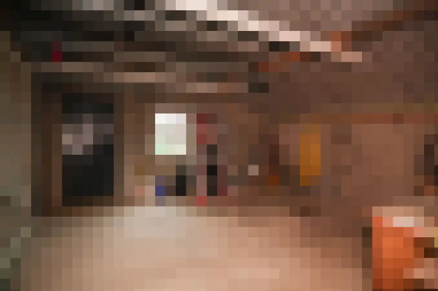 Molenweg 29 Horssen thumbnail 47