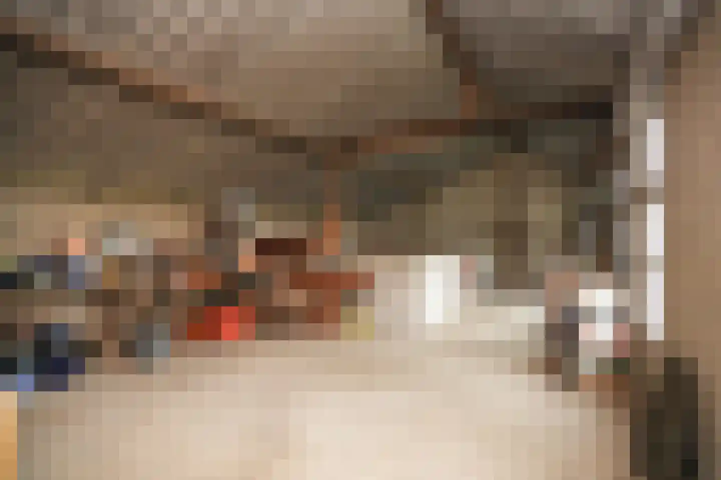 Molenweg 29 Horssen thumbnail 48