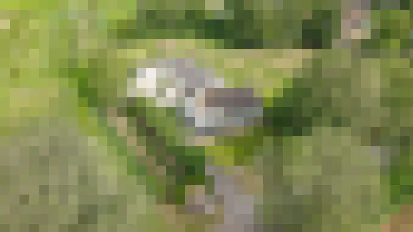 Molenweg 29 Horssen thumbnail 49