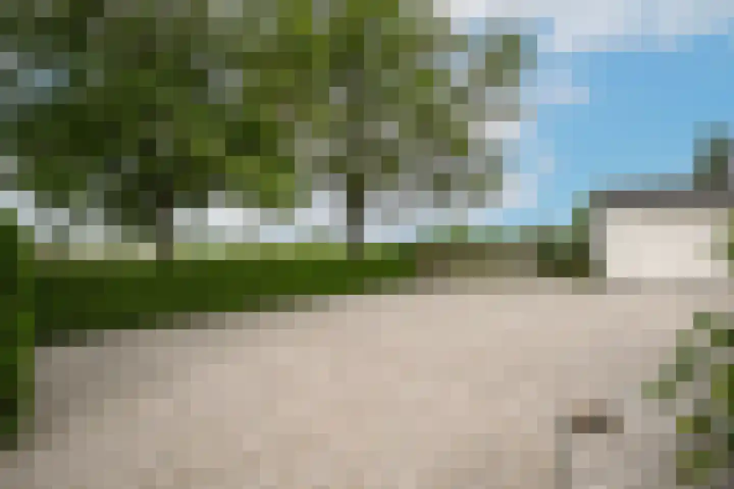 Molenweg 29 Horssen thumbnail 51