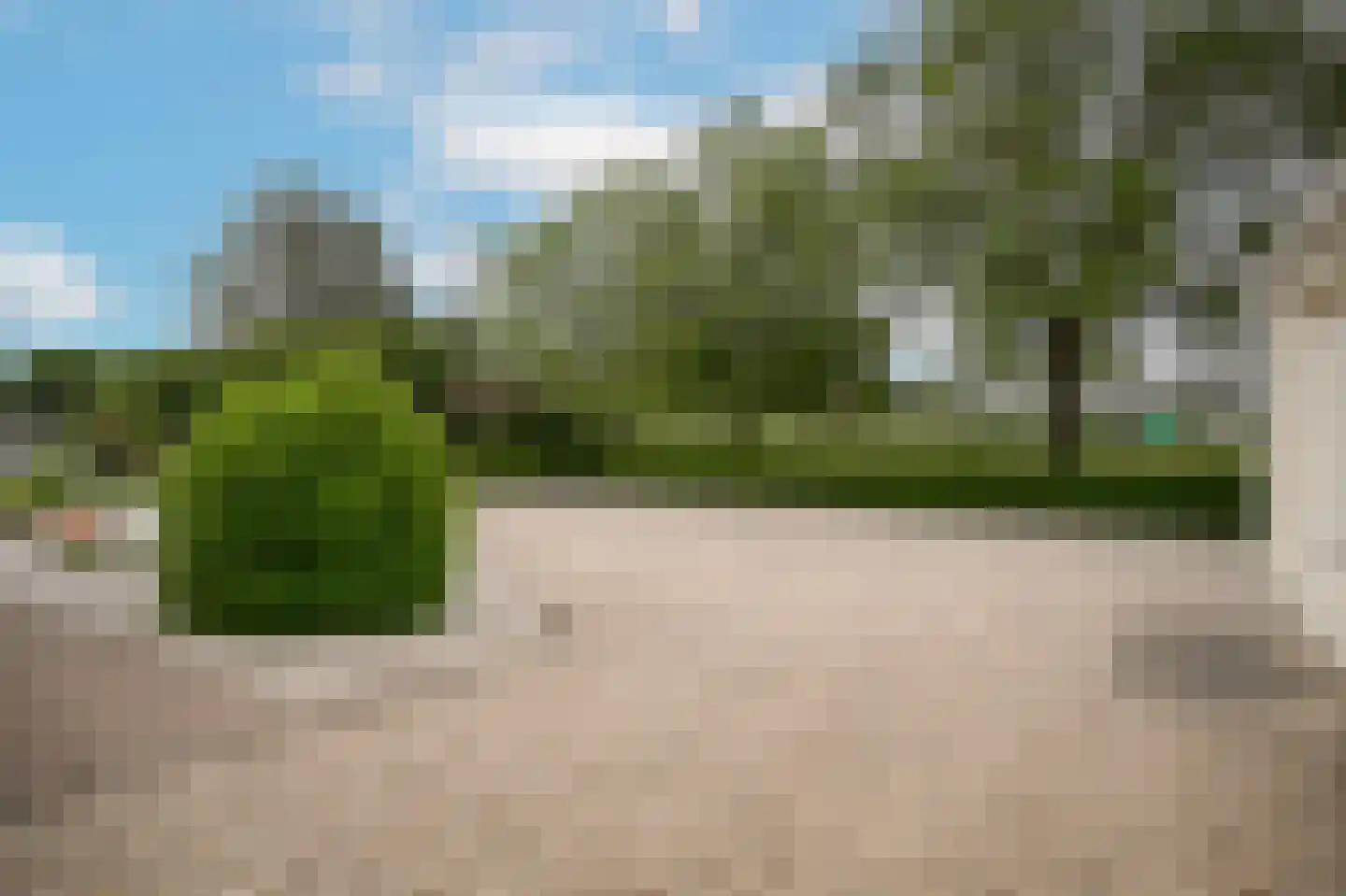 Molenweg 29 Horssen thumbnail 53