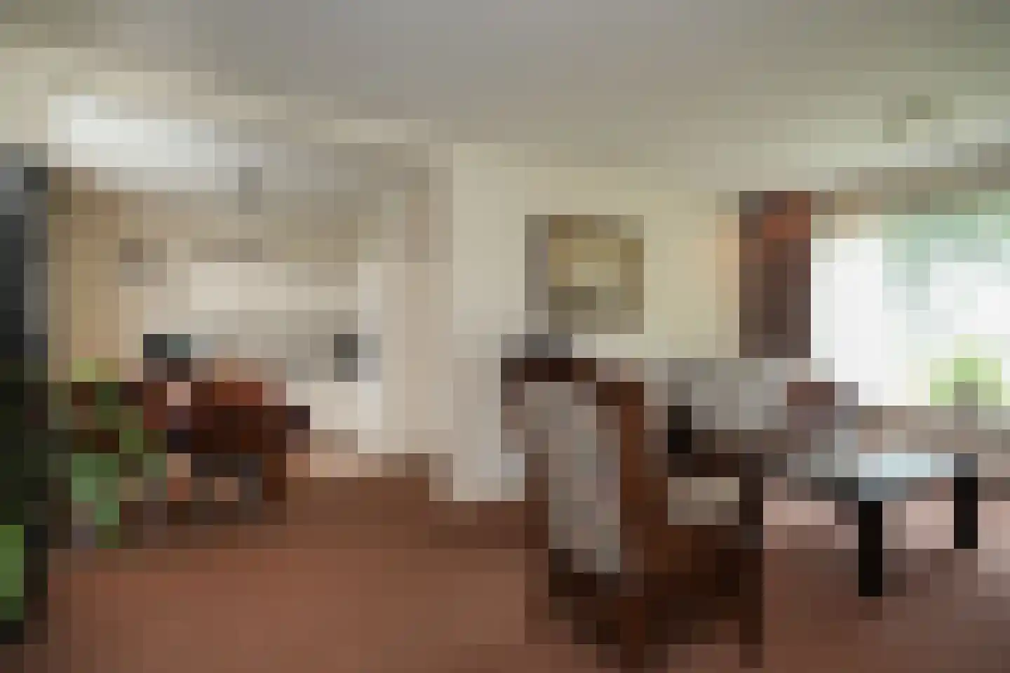 Molenweg 29 Horssen thumbnail 6