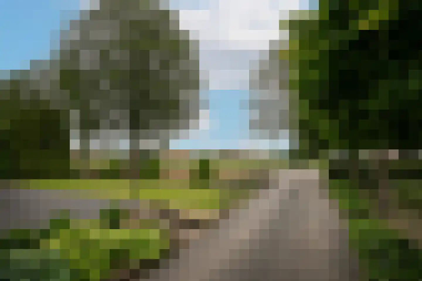 Molenweg 29 Horssen thumbnail 61