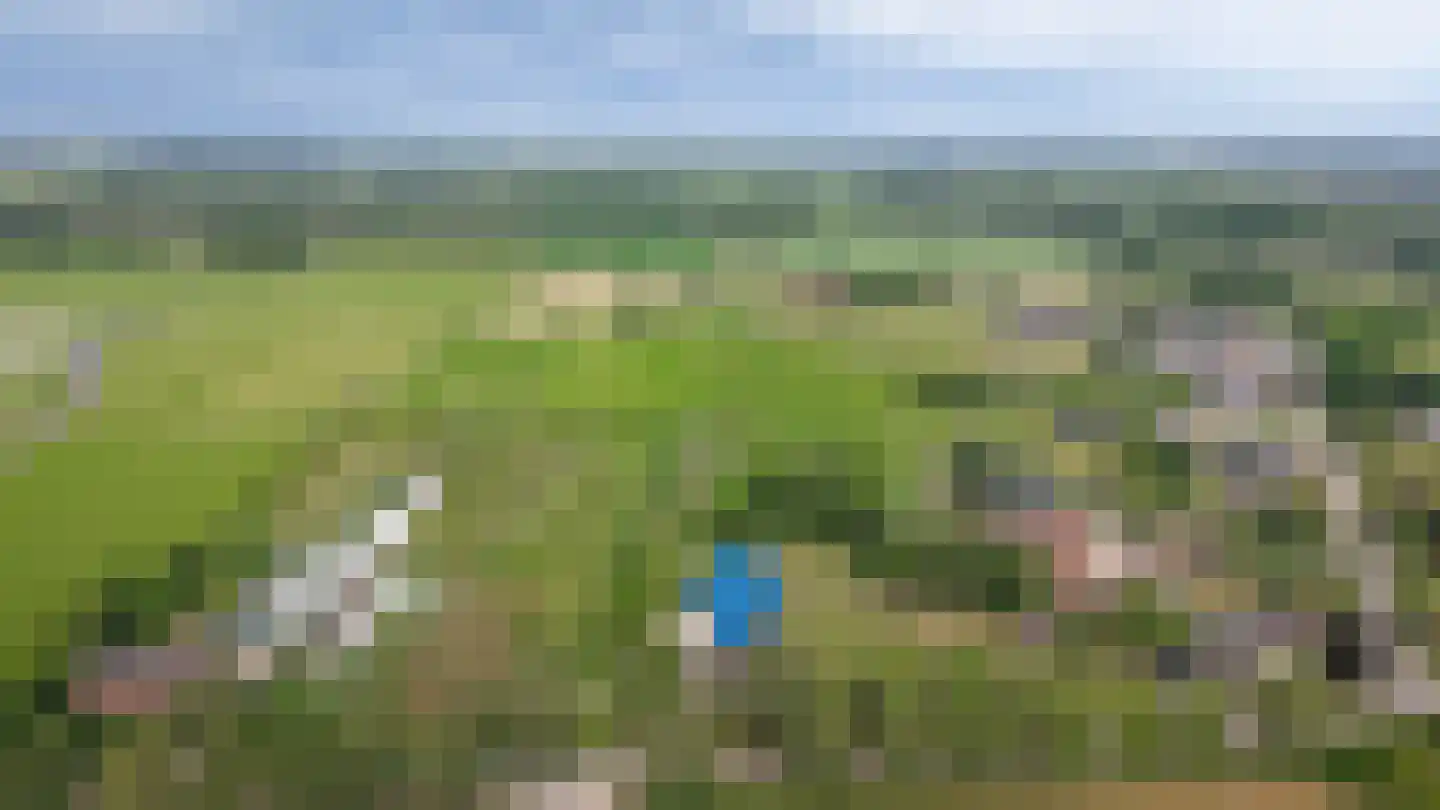 Molenweg 29 Horssen thumbnail 67