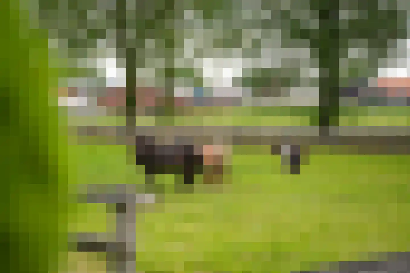 Molenweg 29 Horssen thumbnail 7