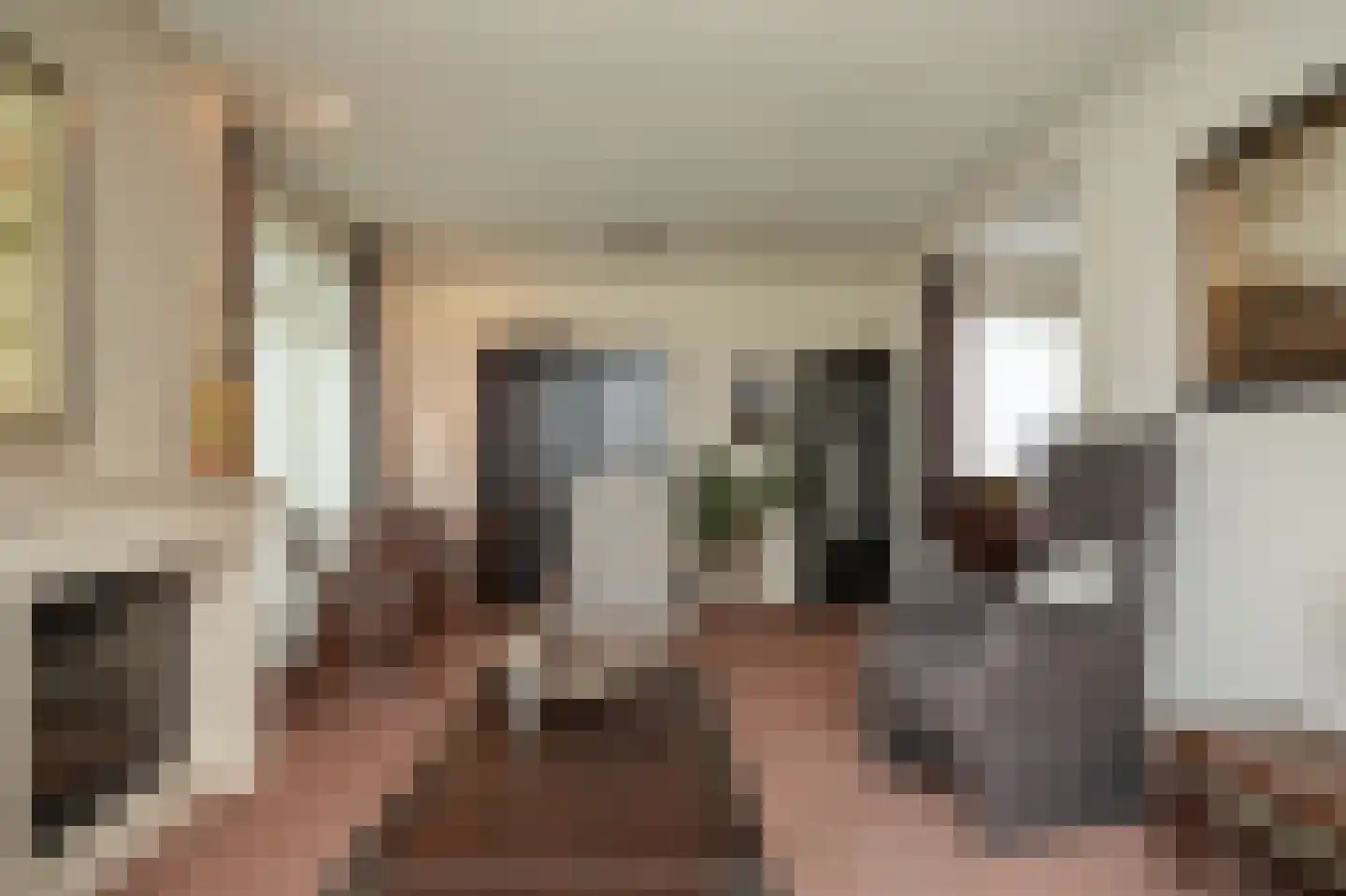 Molenweg 29 Horssen thumbnail 9