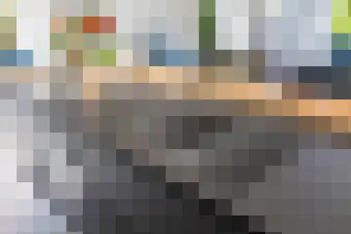Molenweg 29 Loppersum thumbnail 15