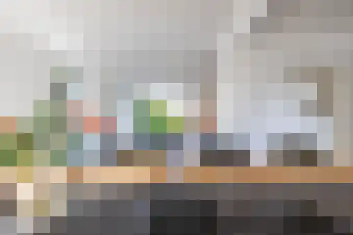 Molenweg 29 Loppersum thumbnail 16