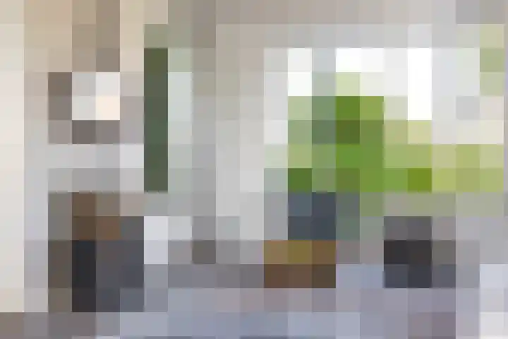 Molenweg 29 Loppersum thumbnail 20