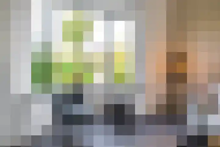 Molenweg 29 Loppersum thumbnail 22