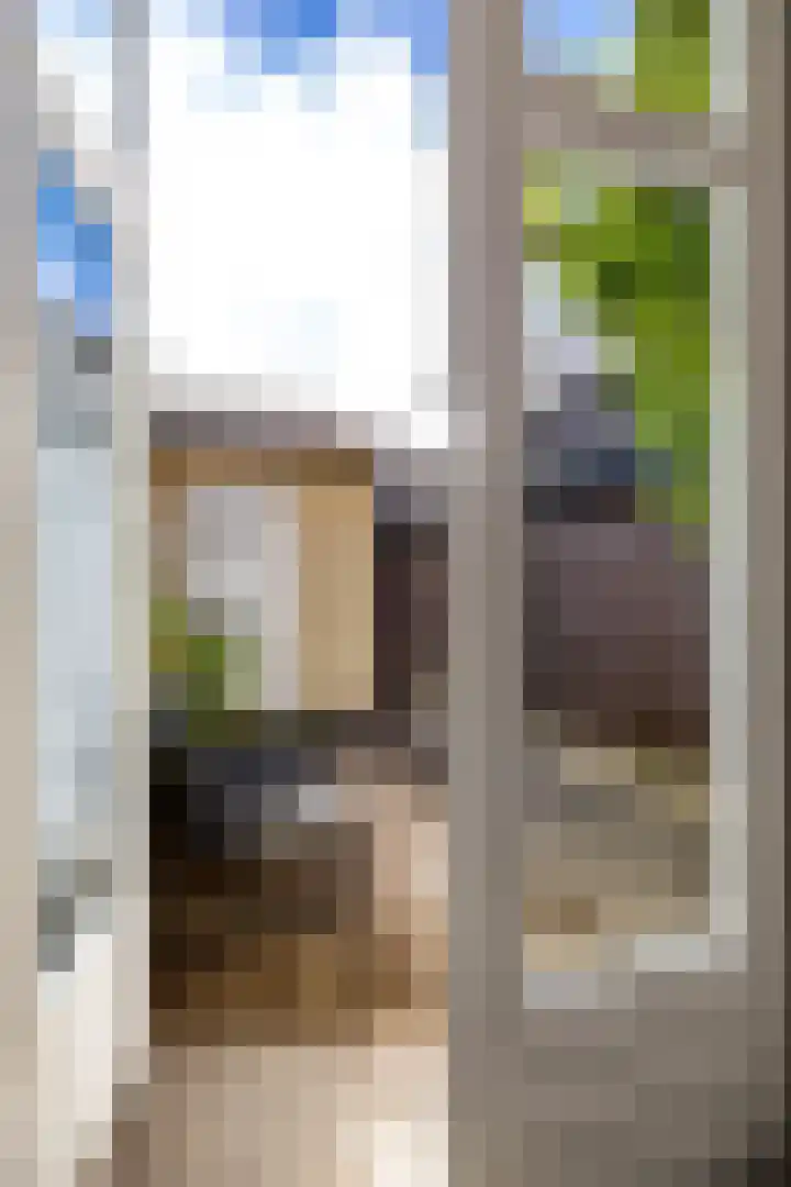 Molenweg 29 Loppersum thumbnail 28