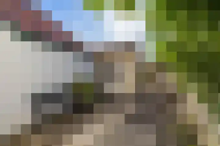 Molenweg 29 Loppersum thumbnail 30