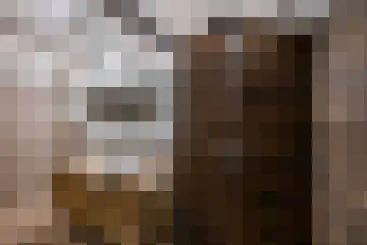Molenweg 29 Loppersum thumbnail 37