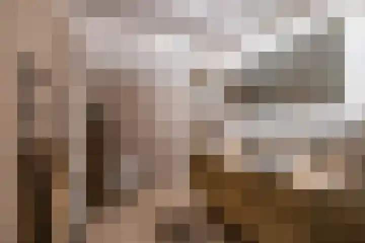 Molenweg 29 Loppersum thumbnail 38