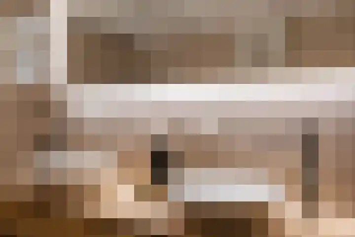 Molenweg 29 Loppersum thumbnail 39