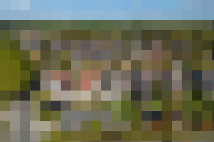 Molenweg 29 Loppersum thumbnail 4