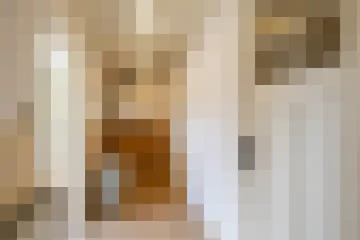 Molenweg 29 Loppersum thumbnail 41
