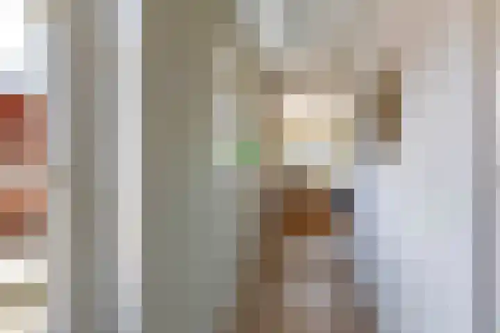 Molenweg 29 Loppersum thumbnail 42