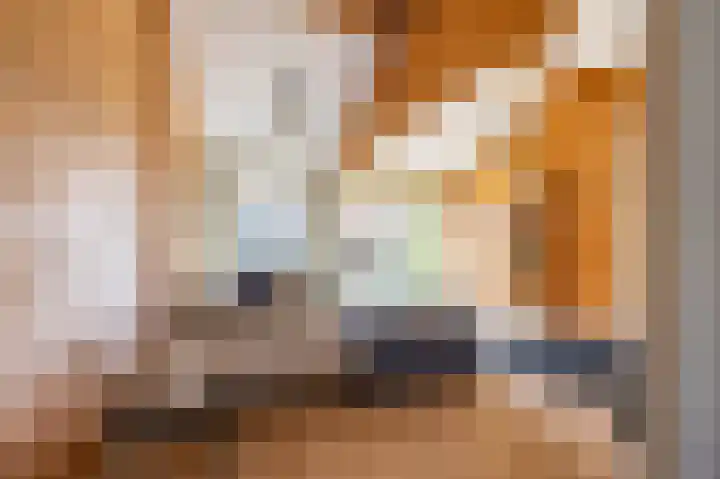 Molenweg 29 Loppersum thumbnail 43