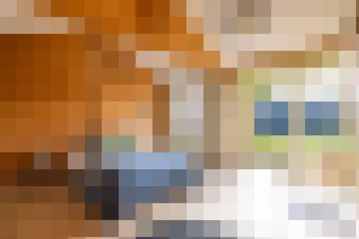 Molenweg 29 Loppersum thumbnail 44