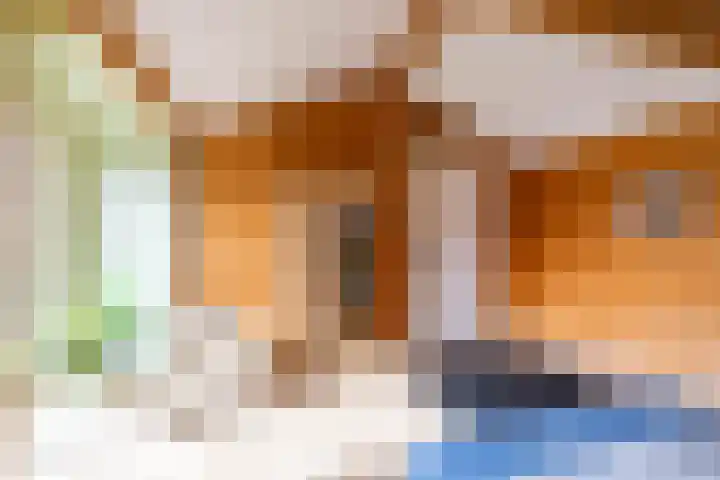 Molenweg 29 Loppersum thumbnail 46