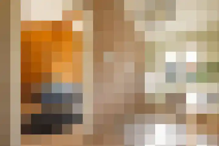 Molenweg 29 Loppersum thumbnail 47