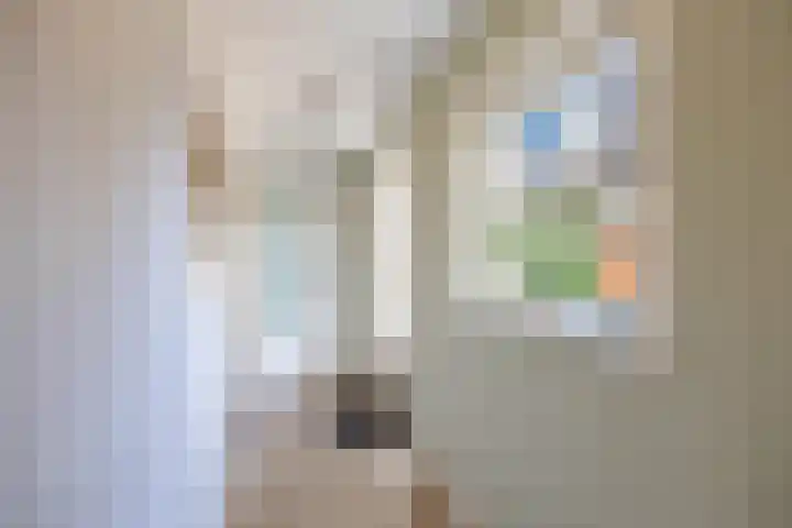 Molenweg 29 Loppersum thumbnail 50
