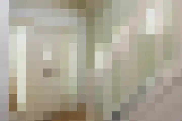 Molenweg 29 Loppersum thumbnail 52