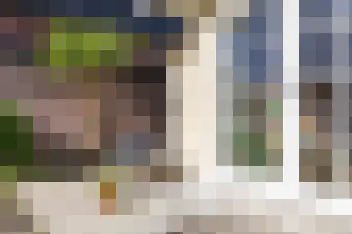 Molenweg 29 Loppersum thumbnail 71
