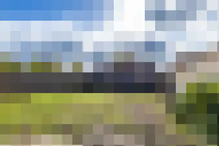 Molenweg 29 Loppersum thumbnail 72