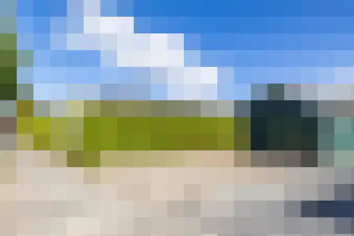 Molenweg 29 Loppersum thumbnail 73