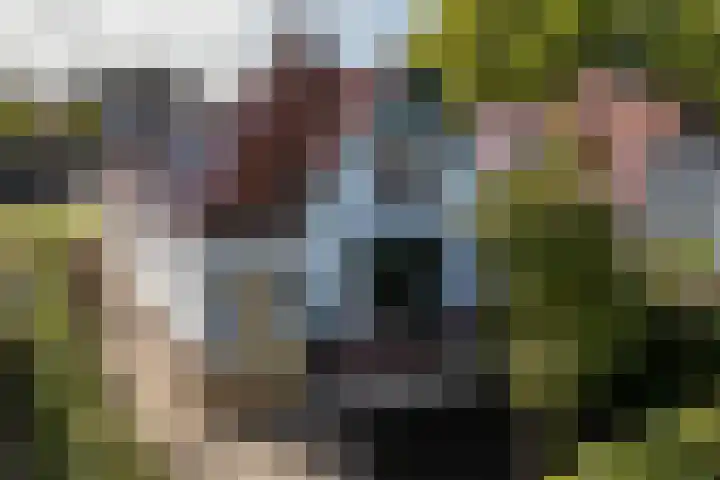 Molenweg 29 Loppersum thumbnail 79