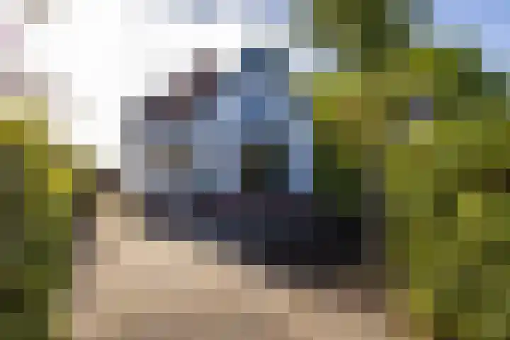 Molenweg 29 Loppersum thumbnail 80