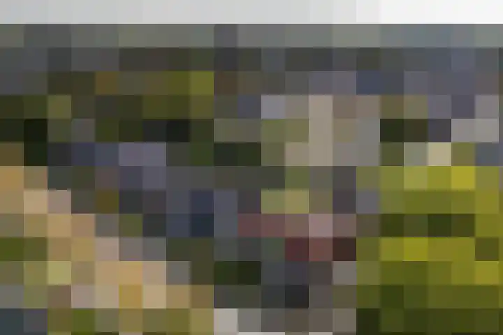 Molenweg 29 Loppersum thumbnail 81