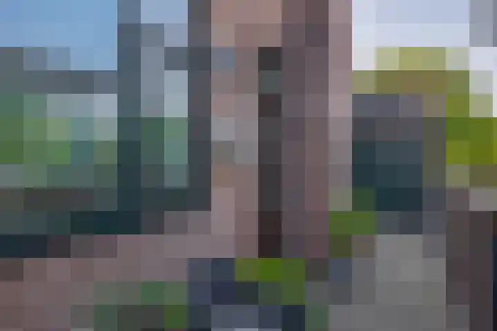 Molenweg 29 Rozenburg thumbnail 10
