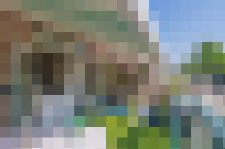 Molenweg 29 Rozenburg thumbnail 4