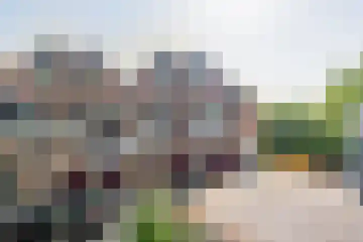 Molenweg 29 Rozenburg thumbnail 6