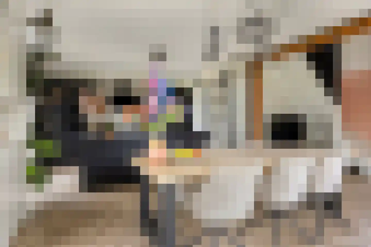 Molenweg 3 a Heino thumbnail 17