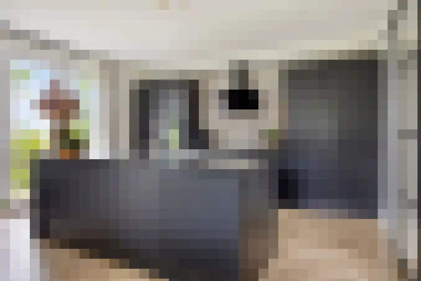 Molenweg 3 a Heino thumbnail 22