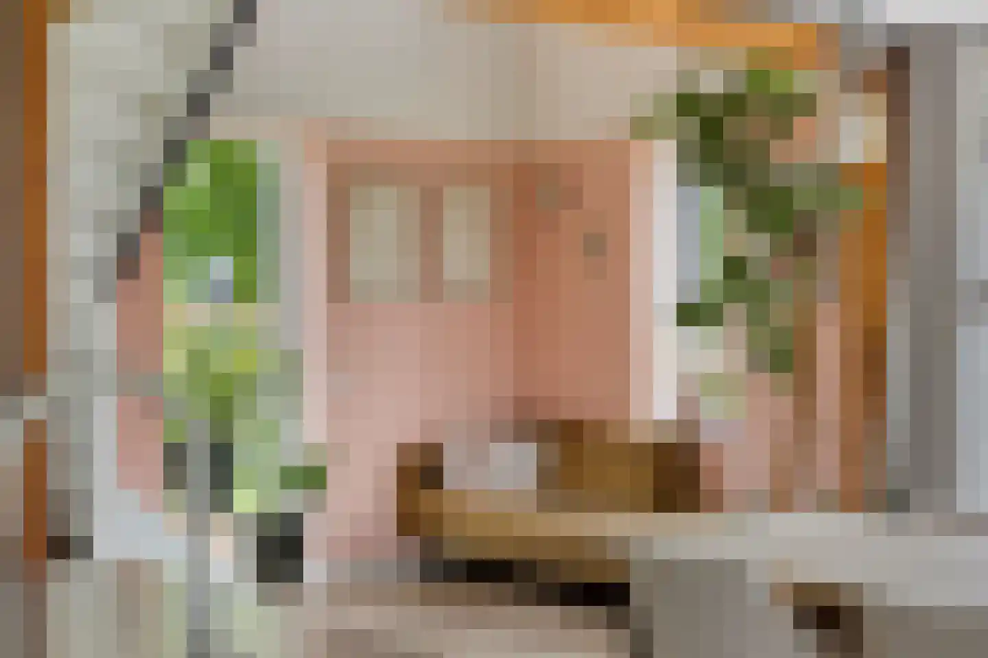 Molenweg 3 a Heino thumbnail 26